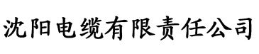 亚洲特级一区二区三区电缆厂logo